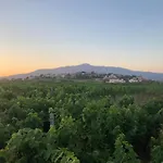 Adrian's & Winery Appartement