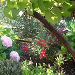 Adrian's & Winery Daire Lumbarda