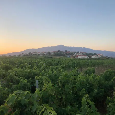 Adrian's & Winery 아파트