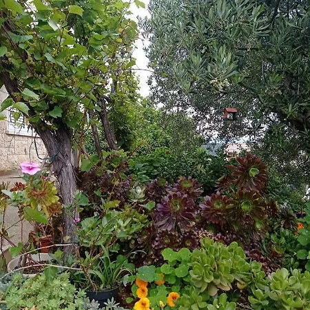 Adrian's & Winery דירה