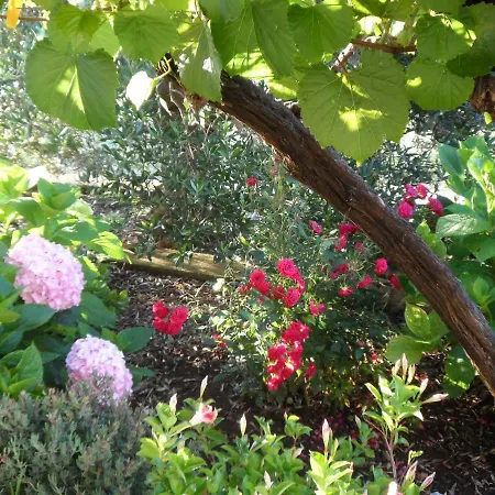 Adrian's & Winery 아파트 룸바르다