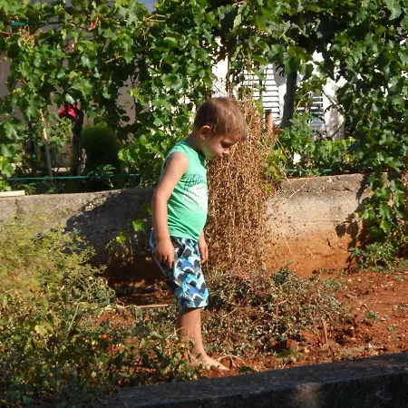 Apartman Adrian's & Winery *