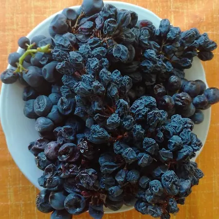 아파트 Adrian's & Winery