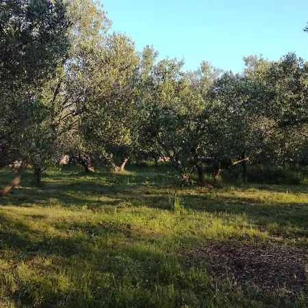 דירה Adrian's & Winery *