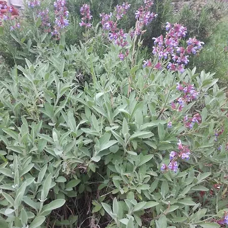 Adrian's & Winery * 룸바르다