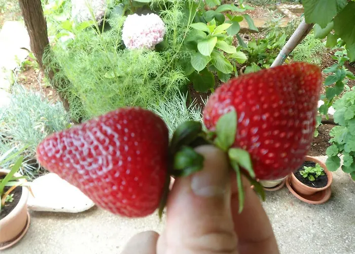 Apartamento Adrian's & Winery